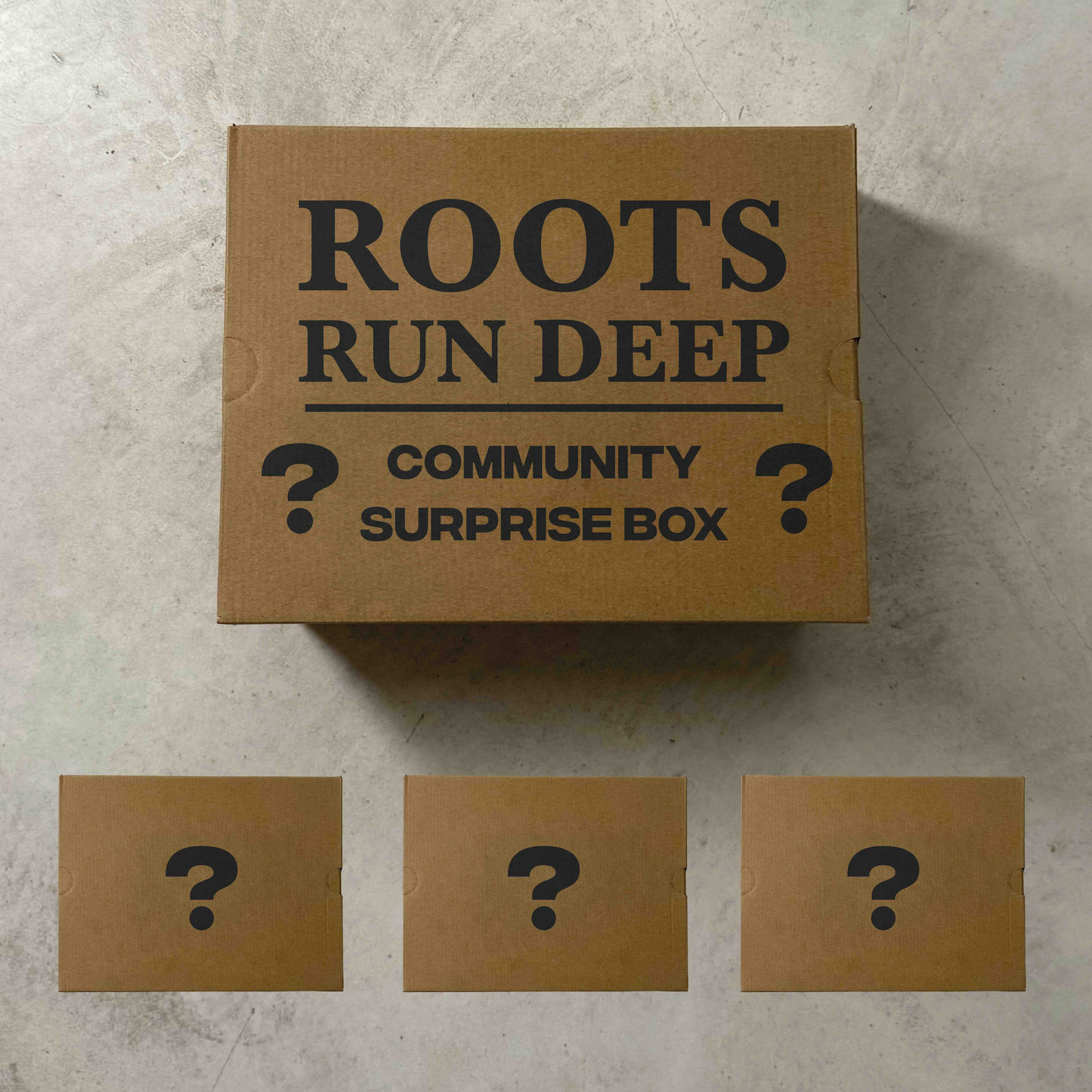 MYSTERY BOX ROOTS RUN DEEP