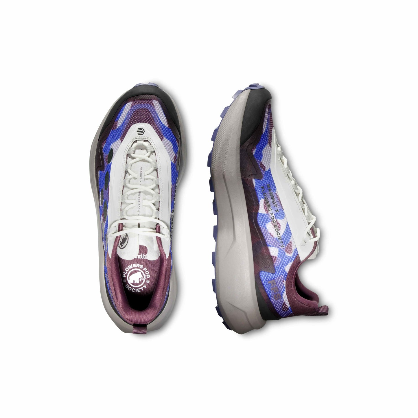 AENERGY MTN SEED LOW ECLIPSE