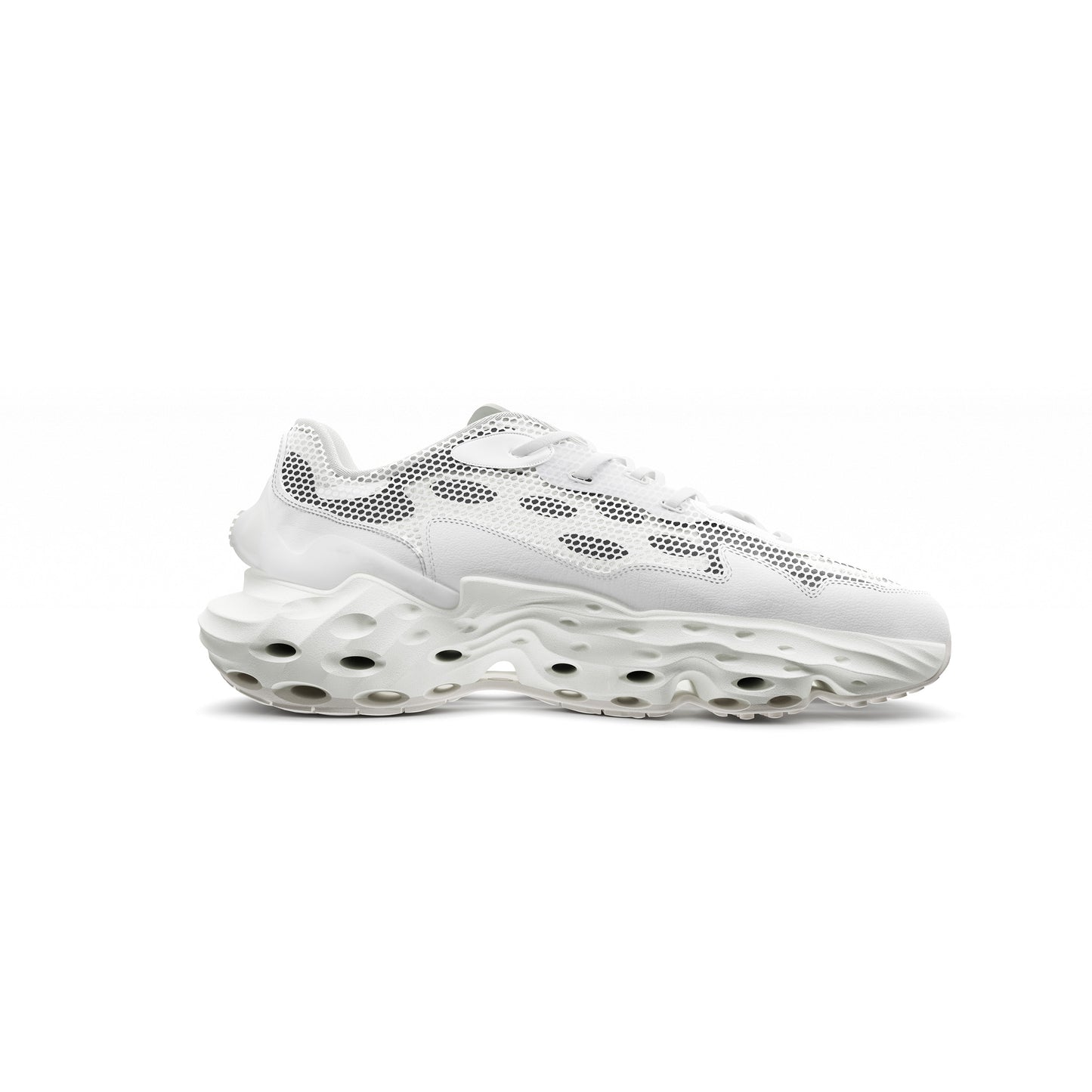 Blanc Canvas
