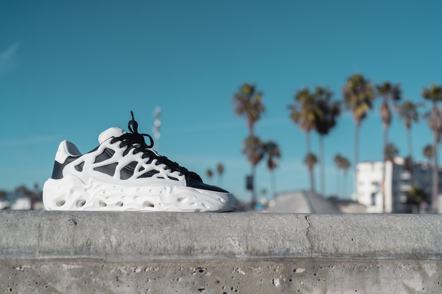 Flowers For Society Sneaker Radicle Orca black white lateral on a concrete bench street palm trees in the background