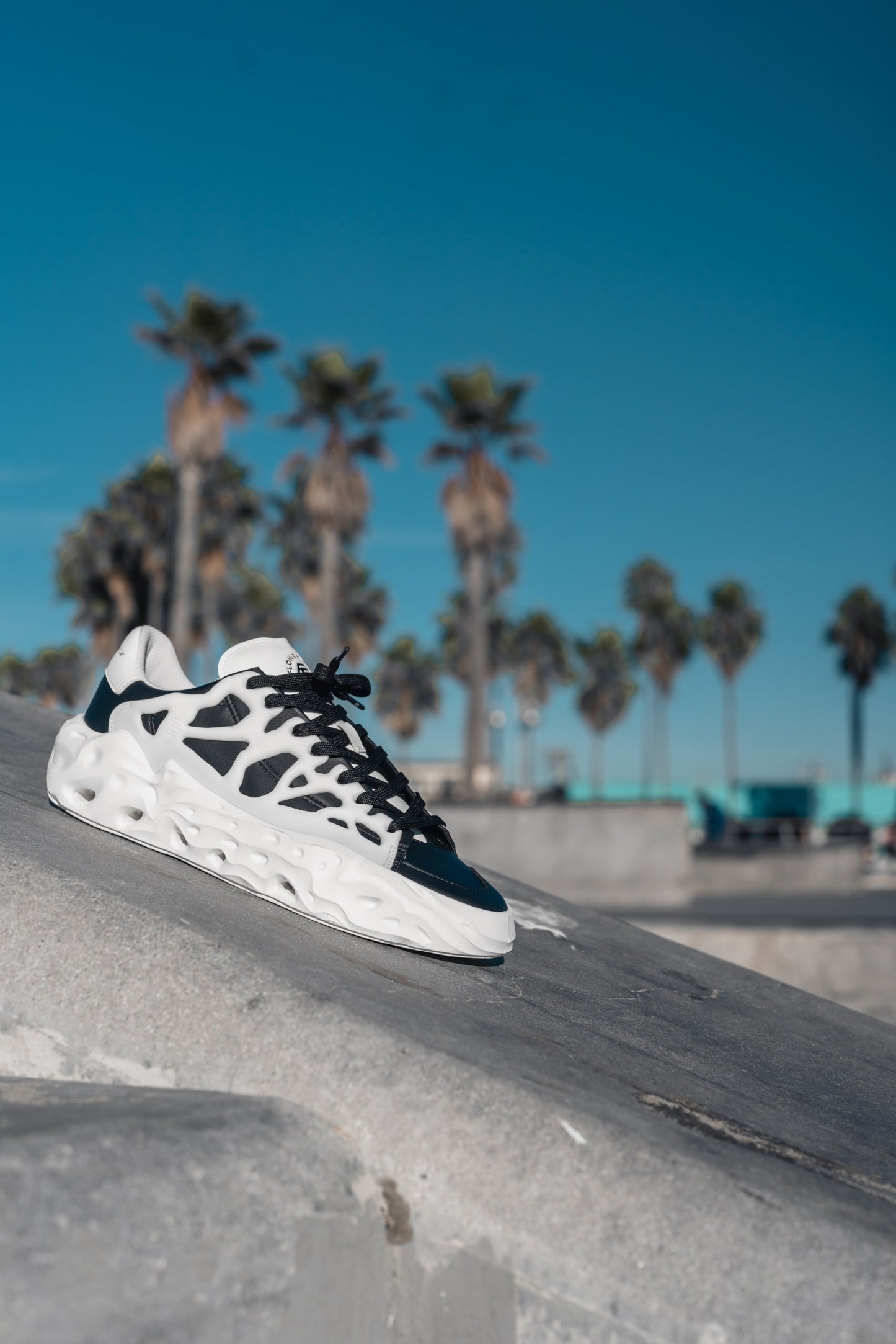 Flowers For Society Sneaker Radicle Orca black white lateral on a concrete bench street palm trees in the background