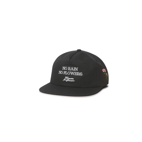 NO RAIN NO FLOWERS CAP - BLACK