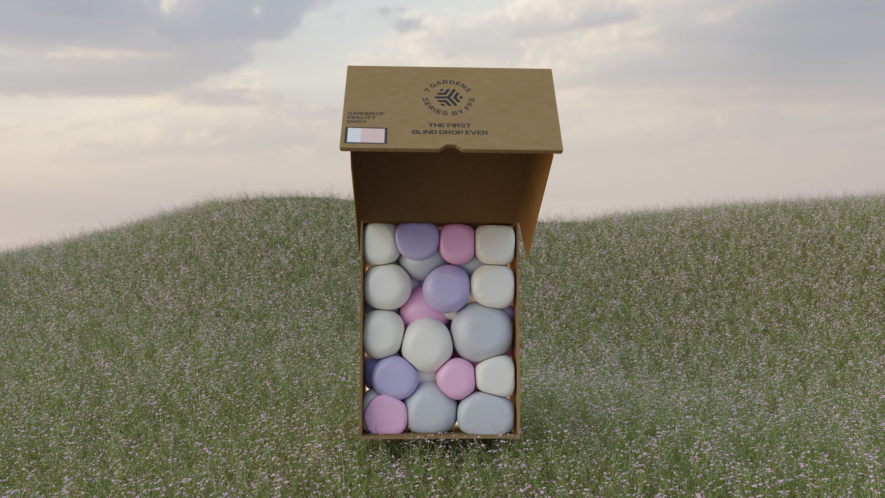 Opened brown shoebox in the middle of a meadow with white purple pink bubbles inside