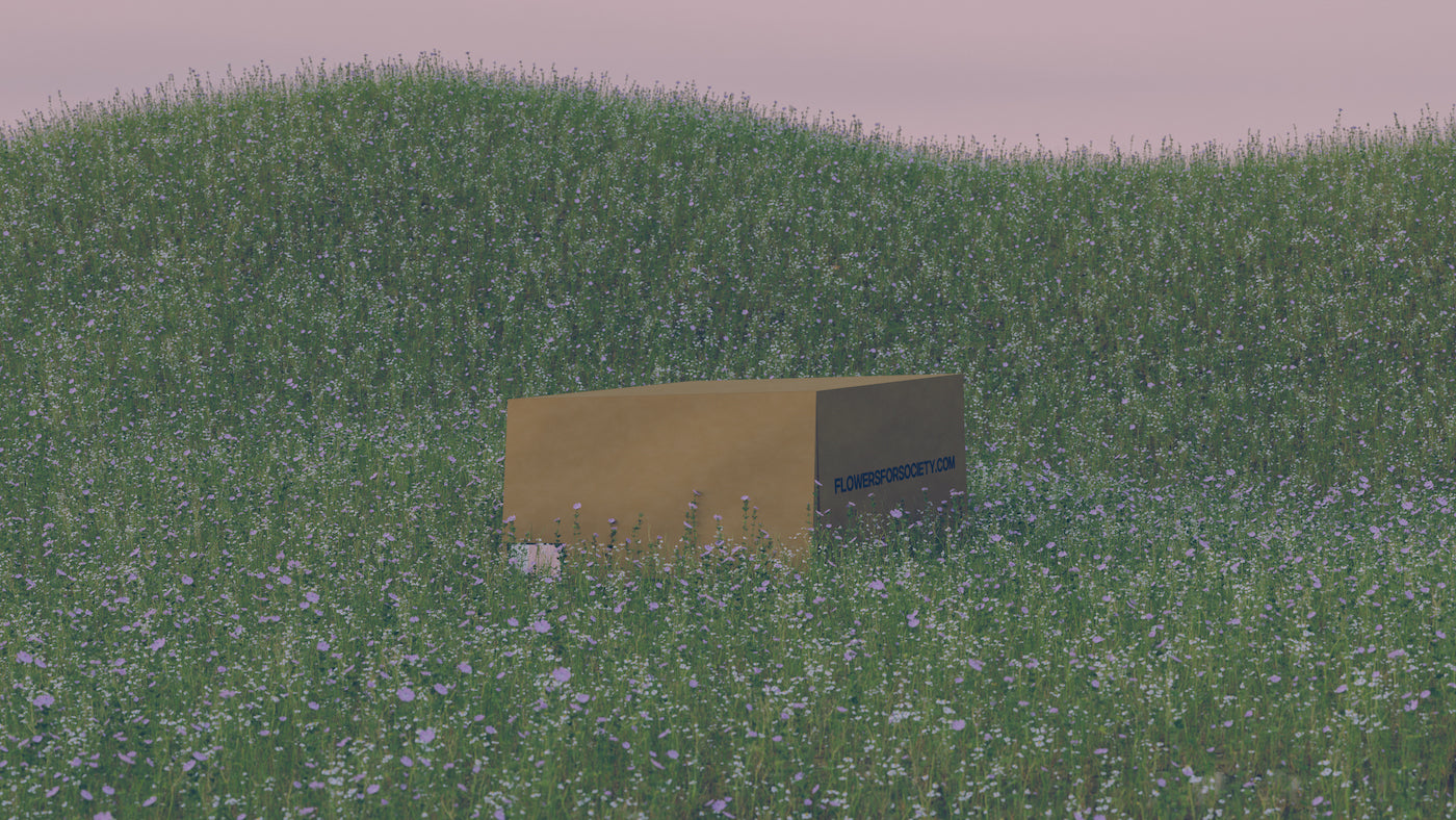 Brown shoebox in the middle of a meadow